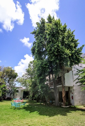 Gallery - Corazon De Jade Tulum Downtown