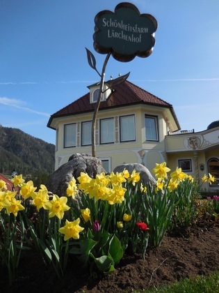 Gallery - Der Lärchenhof