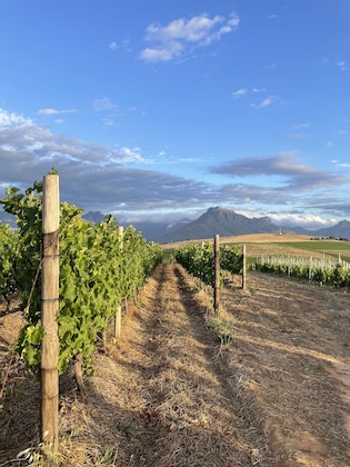 Gallery - Sugarbird Manor At Protea Heights Farm