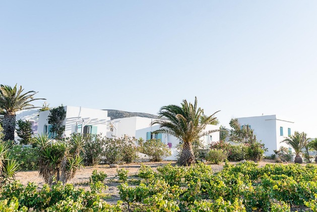 Gallery - Kostantakis Winery & Residence
