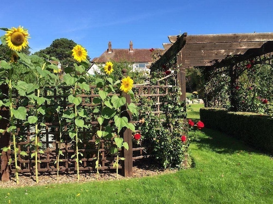 Gallery - Heddwyn