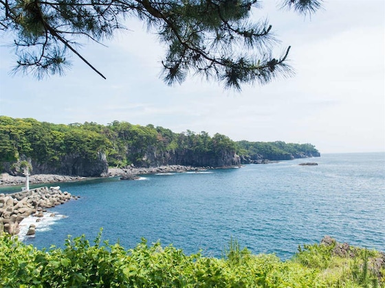 Gallery - Livemax Resort Jogasaki Kaigan