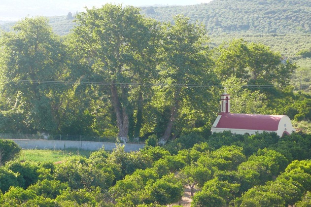 Gallery - Stefanos Garden