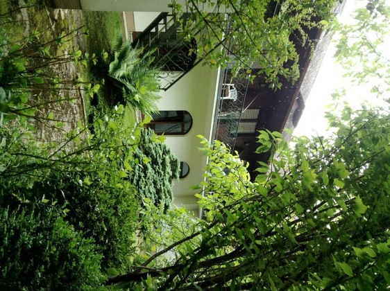 Gallery - Hotel Grünes Türl