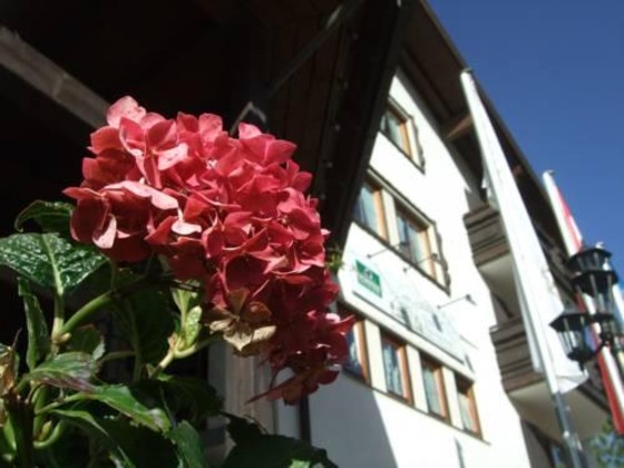 Gallery - Hotel Alpensonne