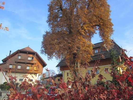 Gallery - Hotel Zollner