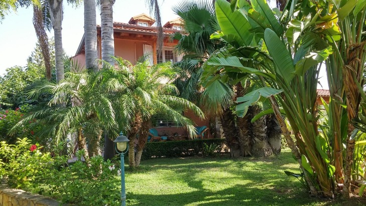 Gallery - Il Giardino Delle Jacaranda
