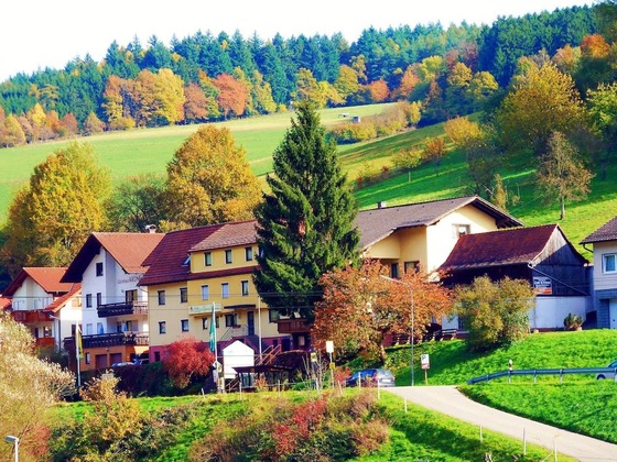 Gallery - Hotel Gasthof Zur Krone
