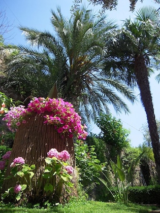Gallery - B&B I Limoni