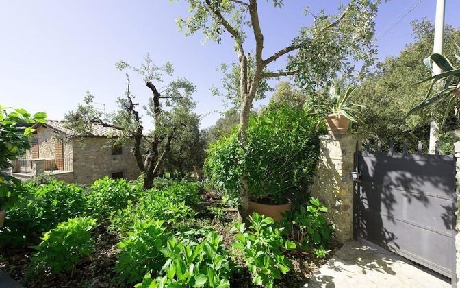 Gallery - Villa Nova
