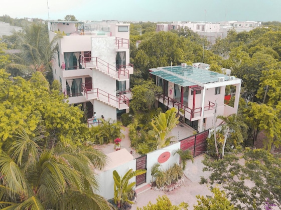 Gallery - Los Amigos Tulum