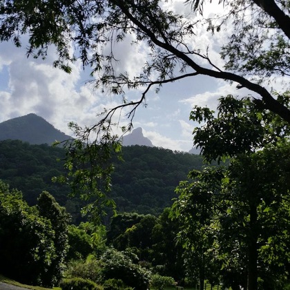 Gallery - A View Of Mt Warning B&B