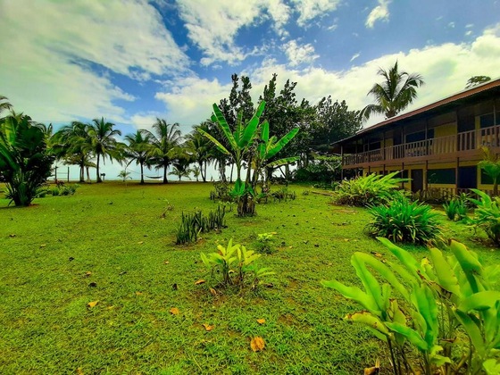 Gallery - Hotel Tortuguero Beachfront