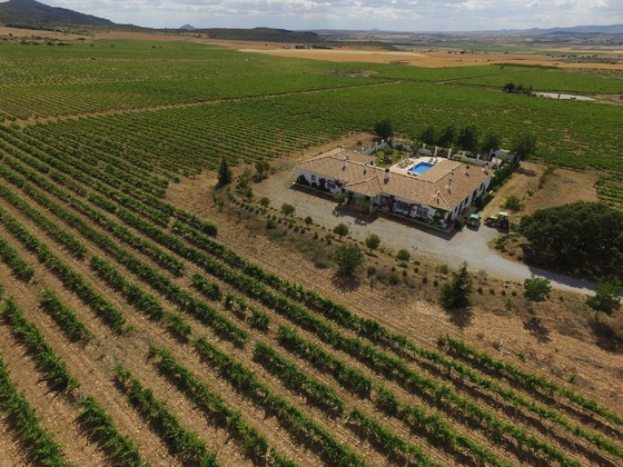 Gallery - Finca El Romeral