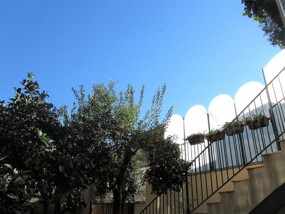 Gallery - La Corte Dei Limoni