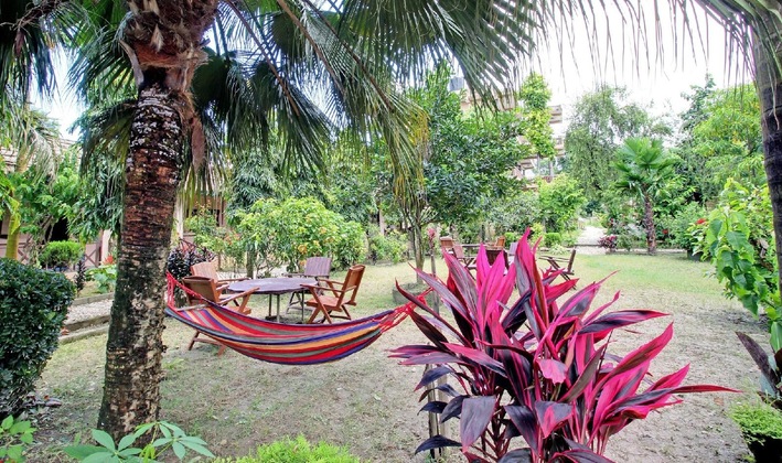 Gallery - Eden Jungle Resort