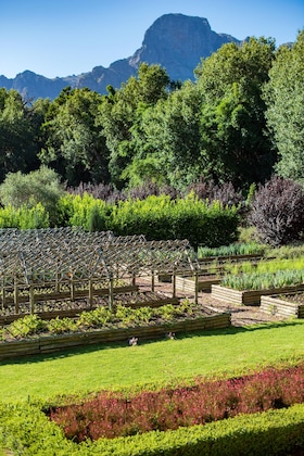 Gallery - Boschendal