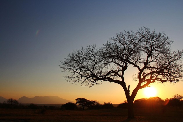 Gallery - Thornhill Safari Lodge
