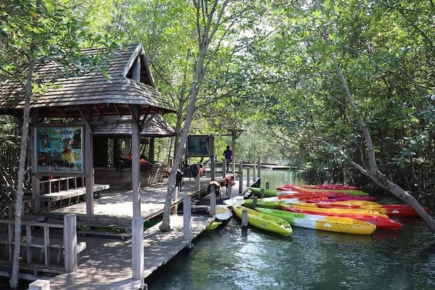 Gallery - Jungle Bay Resort