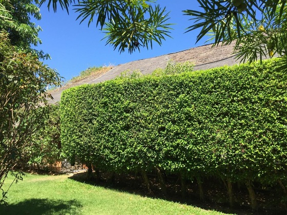 Gallery - Pranberry Bed And Breakfast