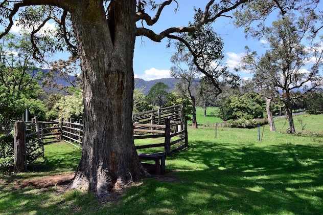 Gallery - The Laurels B&B Kangaroo Valley