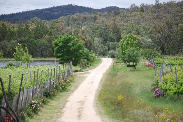 Gallery - Twisted Gum Cottage