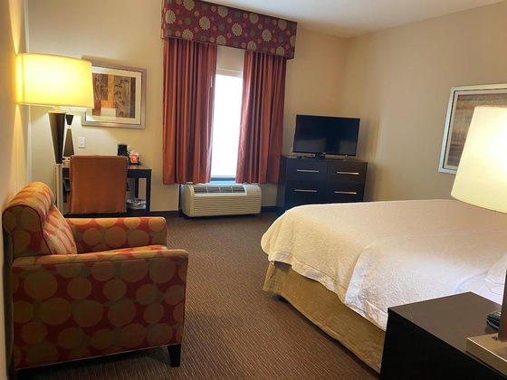 Gallery - Hampton Inn & Suites Tampa Northwest Oldsmar