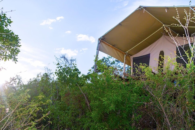 Gallery - Wigot Gardens