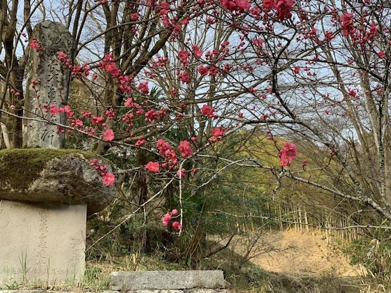 Gallery - Kinosato Yamanoyu