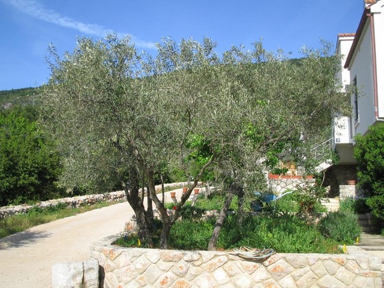 Gallery - Apartments Ljubo & Lili
