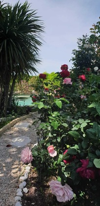 Gallery - Villa Solary