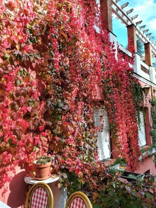 Gallery - Hostal Montsoliu