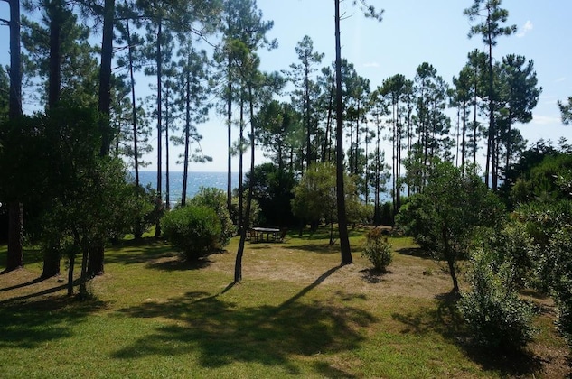 Gallery - Mare E Monte