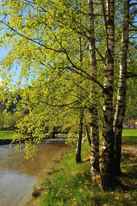 Gallery - Gaupnetunet Hotell Og Hytter