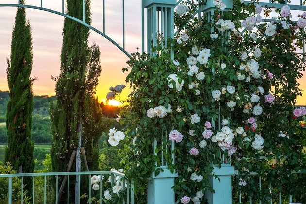 Gallery - Relais Sassa Al Sole