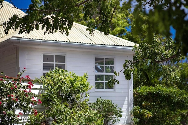 Gallery - Gyp Sea Saint Barth