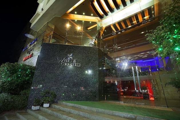 Gallery - White Orchid