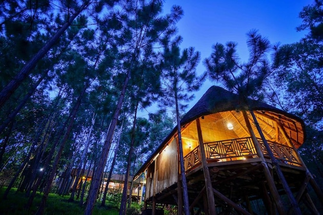 Gallery - Parkview Safari Lodge