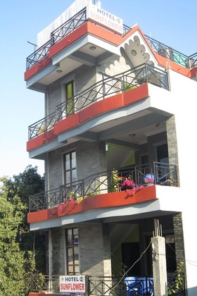 Gallery - Hotel Sunflower