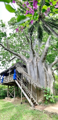 Gallery - Chole Mjini