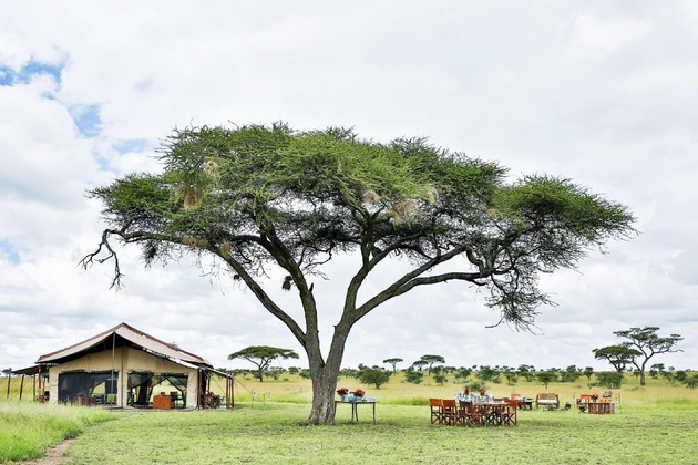 Gallery - Pumzika Classic Safari Camp - East Africa Camps