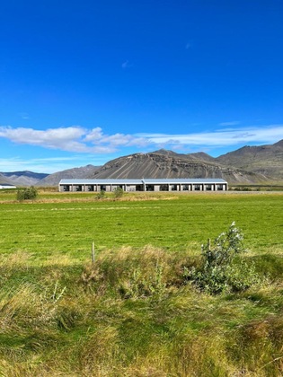 Gallery - Seljavellir Guesthouse