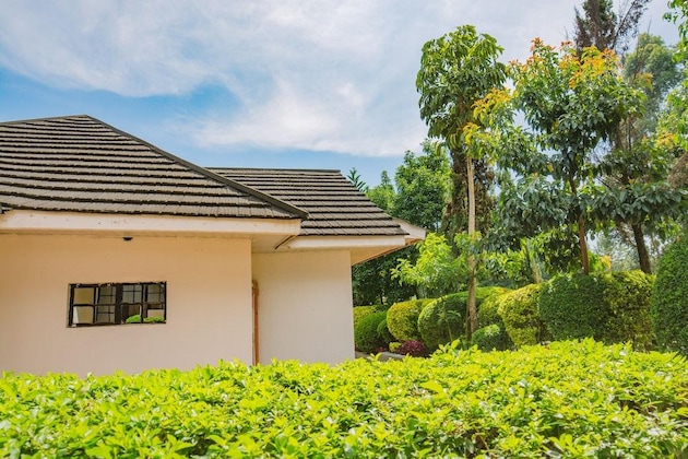 Gallery - Sahara Gardens Kericho