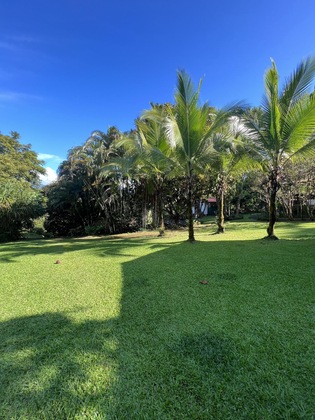 Gallery - Blue Banyan Inn