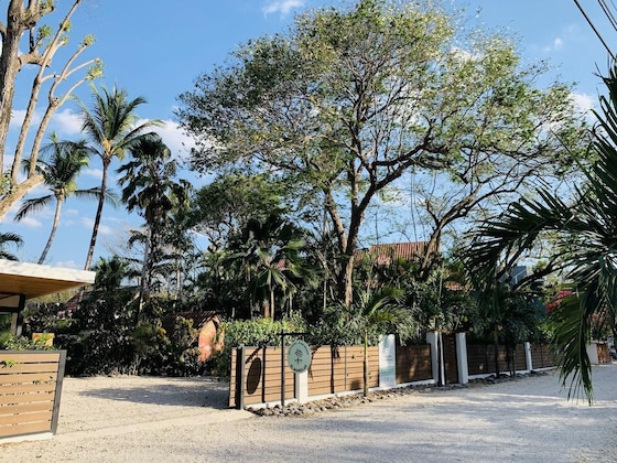 Gallery - Hotel El Manglar