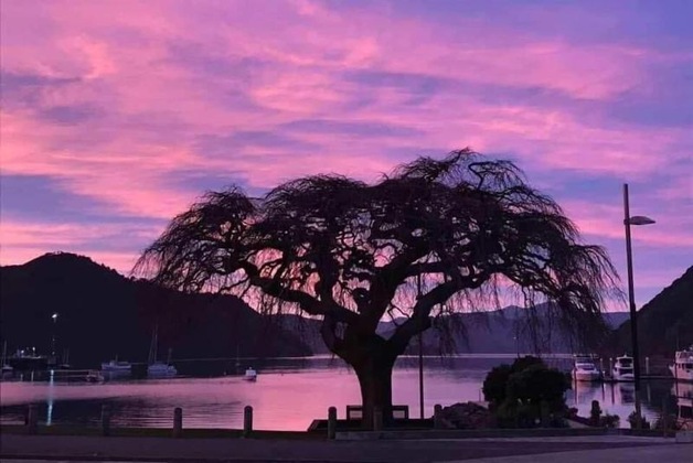 Gallery - Piwaka Lodge And Backpackers