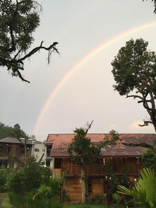 Gallery - The Acacia Retreat