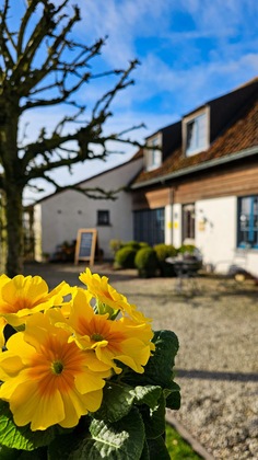 Gallery - Boutique B&B Droomkerke