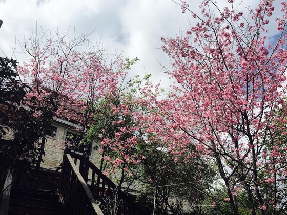 Gallery - Spring Ground B&B