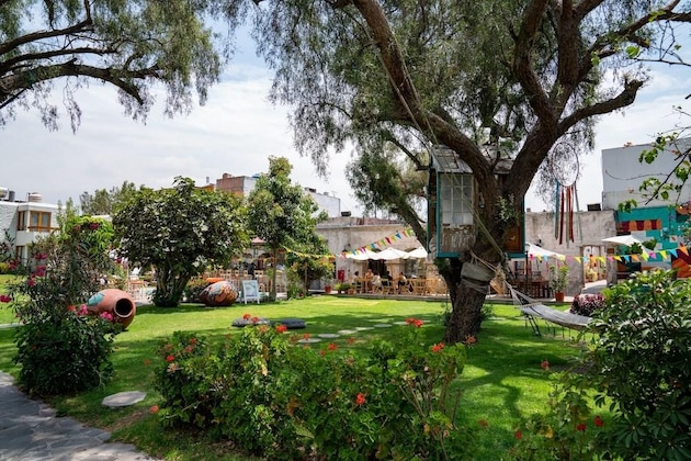 Gallery - Selina Arequipa
